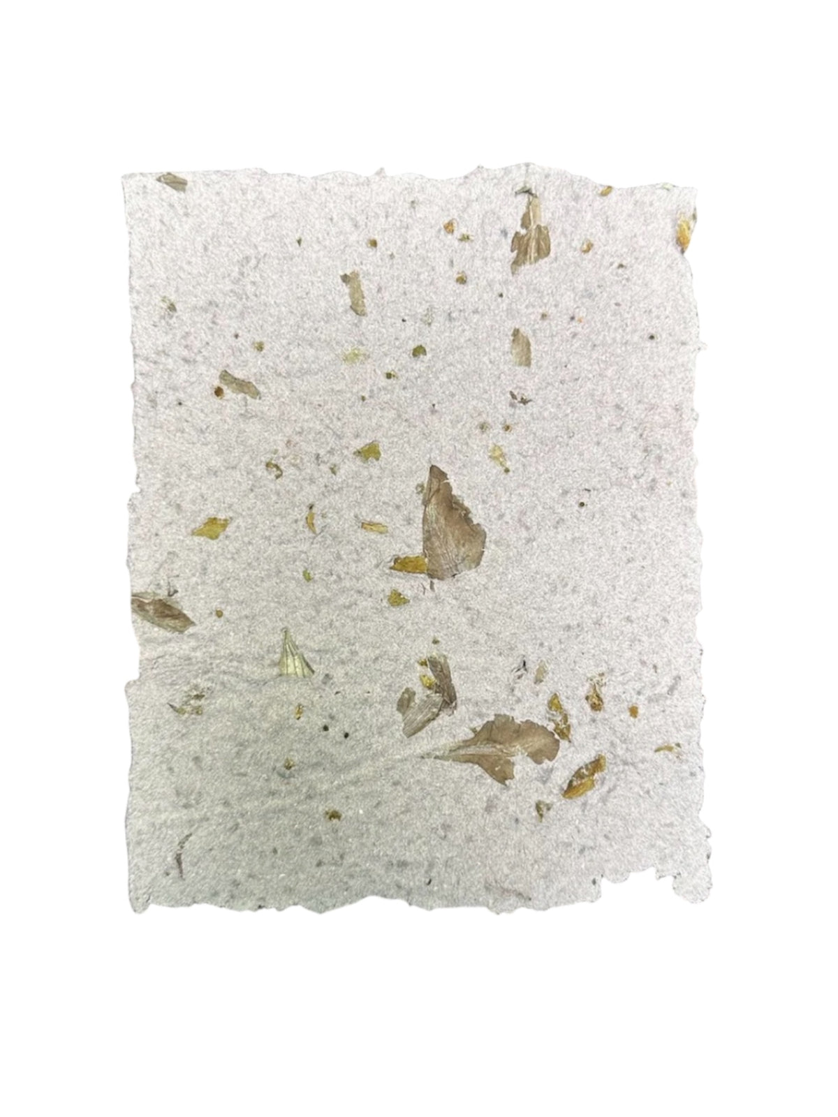 Papier d’Intention – 4 Feuilles Sacrées + Guide Rituel